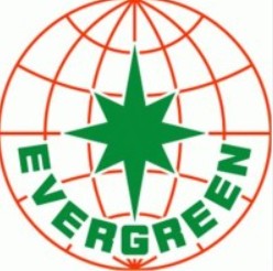 Evergreen